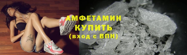 сатива Алзамай
