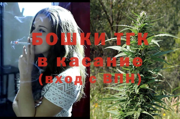 сатива Алзамай