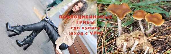 сатива Алзамай
